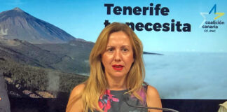 Rosa Dávila, secretaria de Organización de Coalición Canaria de Tenerife y diputada autonómica./ Cedida.