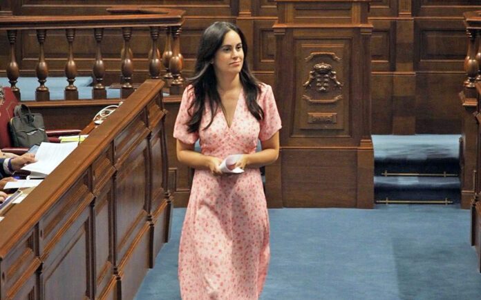 Vidina Espino, portavoz del Grupo Mixto en el Parlamento de Canarias./ Cedida.