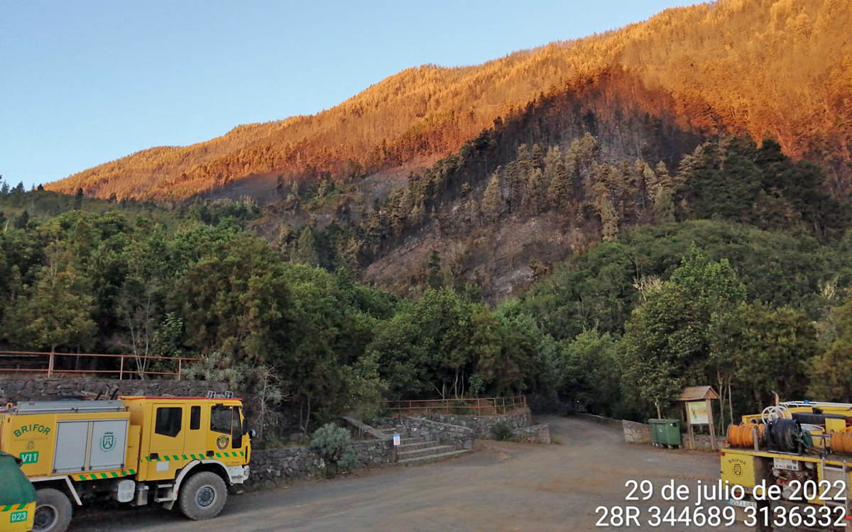 #IFLosRealejos: el Cabildo declara controlado el incendio forestal de Los Realejos