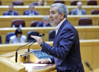 Fernando Clavijo, senador por la Comunidad Autónoma de Canarias./ Cedida.