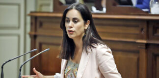 Vidina Espino, diputada del Grupo Mixto en el Parlamento de Canarias./ Cedida.