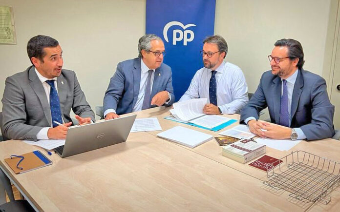 Grupo Territorial Canario del PP en el Senado./ Cedida.