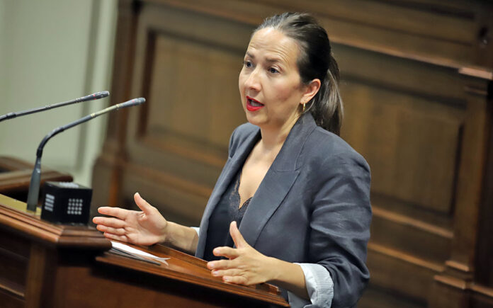 Lorena Hernández, diputada del Grupo Parlamentario Popular y portavoz en  materia educativa./ Cedida.