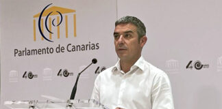 Narvay Quintero, diputado del Grupo Nacionalista Canario./ Cedida.