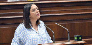 Matilde Fleitas, portavoz del Grupo Parlamentario Socialista en la comisión./ Cedida.