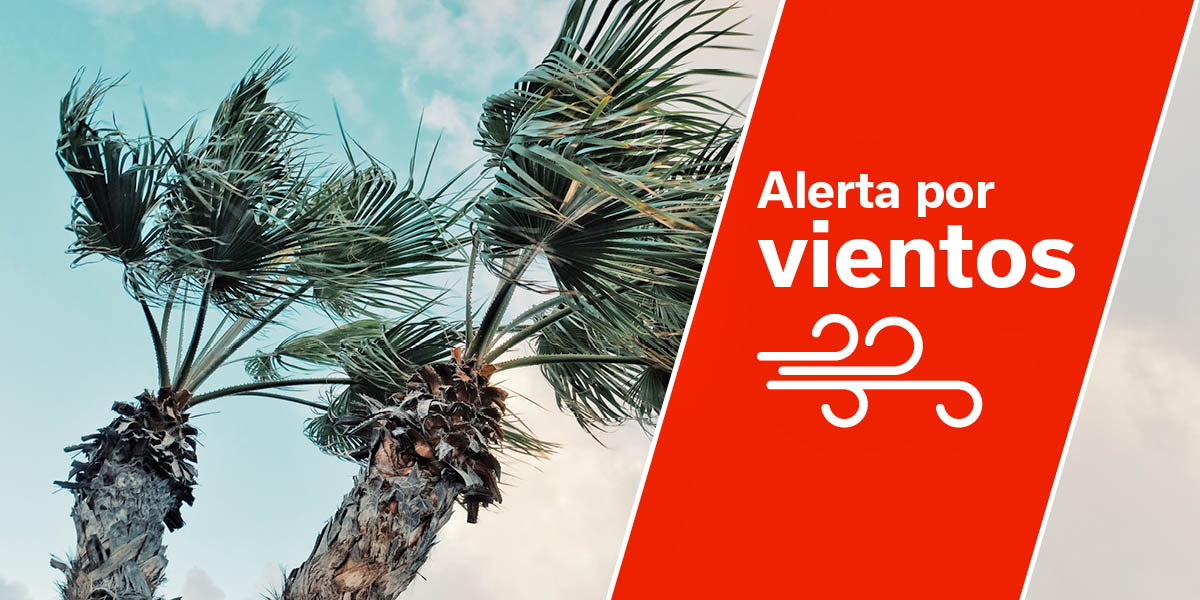 El Gobierno de Canarias declara la situación de Alerta por Viento en La Palma y Tenerife
