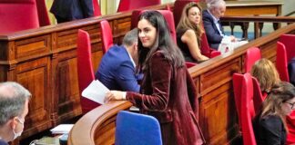 Vidina Espino, diputada del Grupo Mixto en el Parlamento de Canarias./ Cedida.