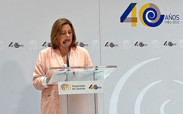 Beatriz Calzada, diputada del Grupo Nacionalista Canario./ Cedida.