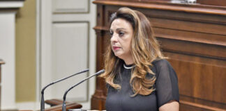 Cristina Valido, diputada del Grupo Nacionalista Canario./ Cedida.