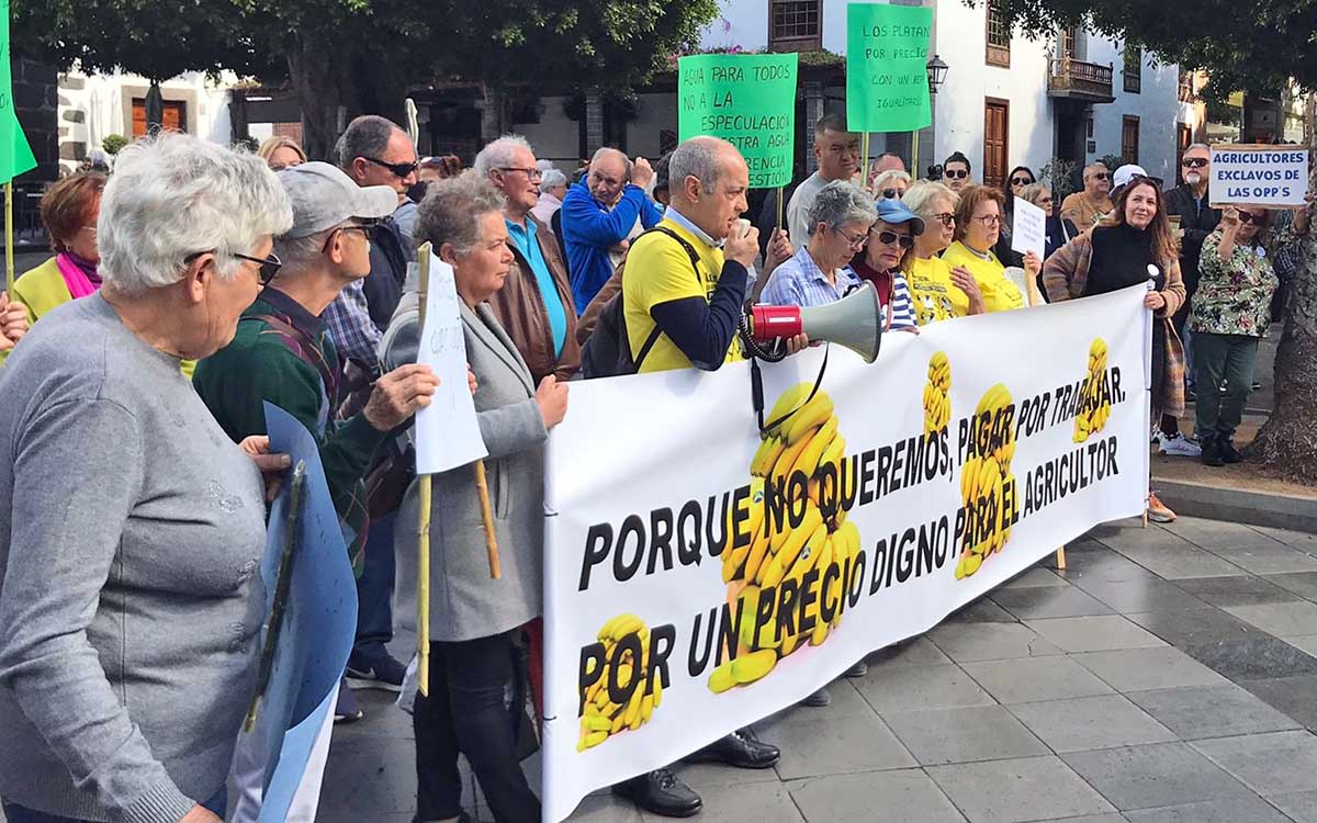 600 plataneros protestan contra los abusivos precios de agua y abonos, y exigen a las cooperativas que ayuden a abaratar los costes