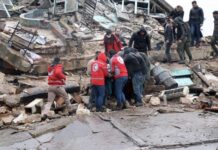 Terremoto en Turquía y Siria. | Foto: Cruz Roja Española.