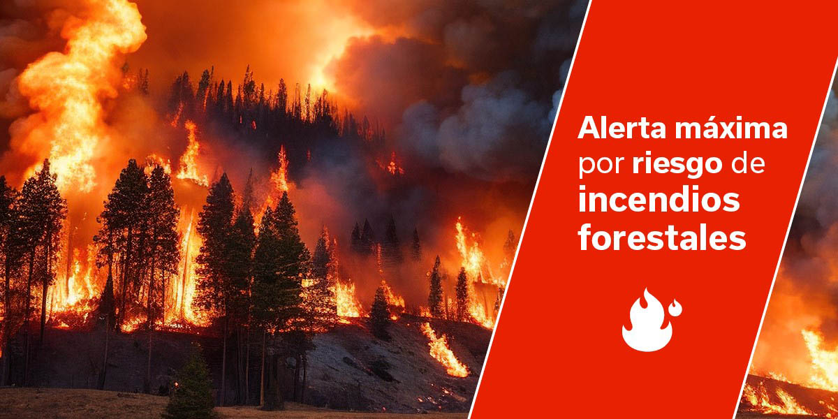 Alerta máxima por riesgo de incendios forestales en El Hierro, La Gomera, La Palma, Tenerife y Gran Canaria