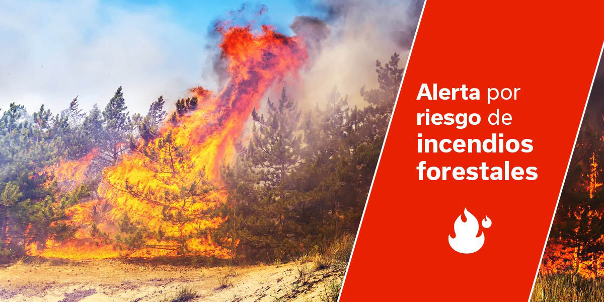 El Hierro, La Gomera, La Palma, Tenerife y Gran Canaria en alerta por riesgo de incendios forestales