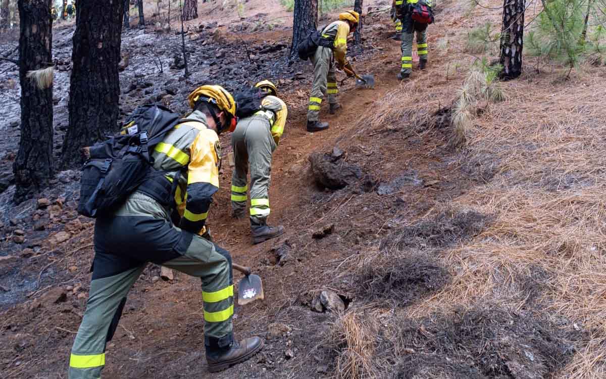 #IFPuntagorda | El incendio solo sigue activo en el barranco del Jieque y La Caldera de Taburiente