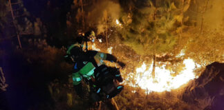 Incendio Forestal de Puntagorda. | Foto: @EIRIFGobCan