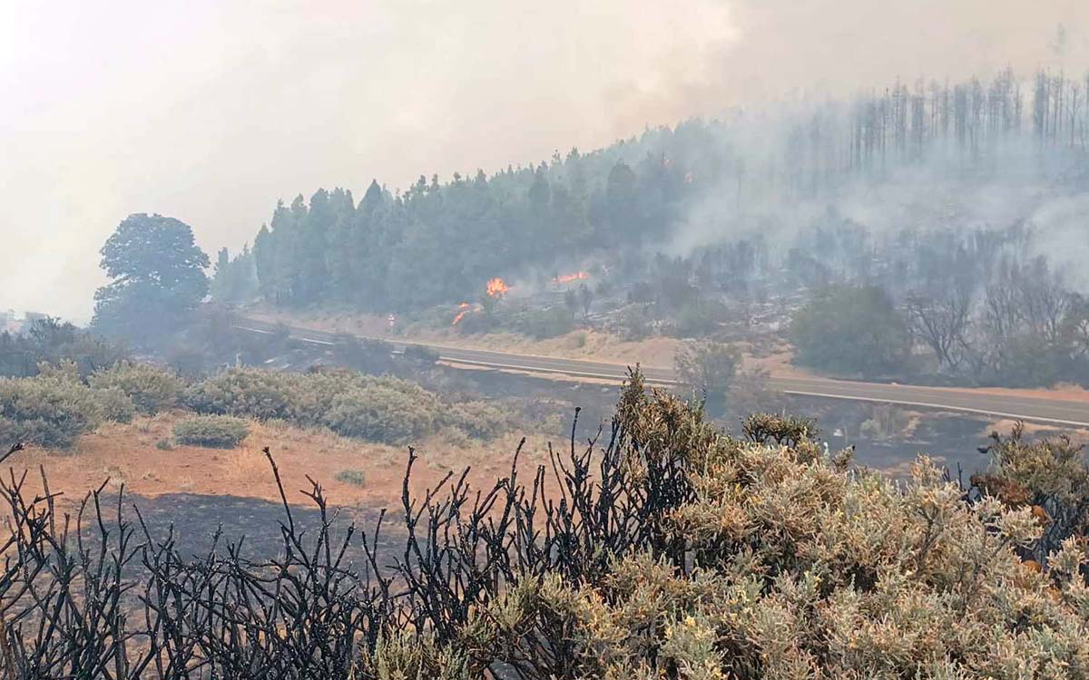#IFTejeda | El incendio alcanza las 390 Ha. y se espera poder estabilizarlo en las próximas horas