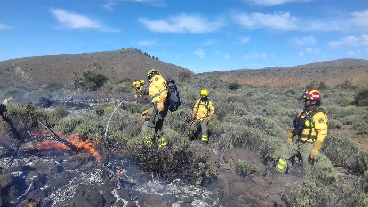 Tenerife | El Cabildo activa el Plan Territorial Insular de Emergencias ante el riesgo de incendio forestal