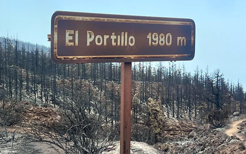 #IFArafoCandelaria | El incendio forestal de Tenerife se da por estabilizado 
