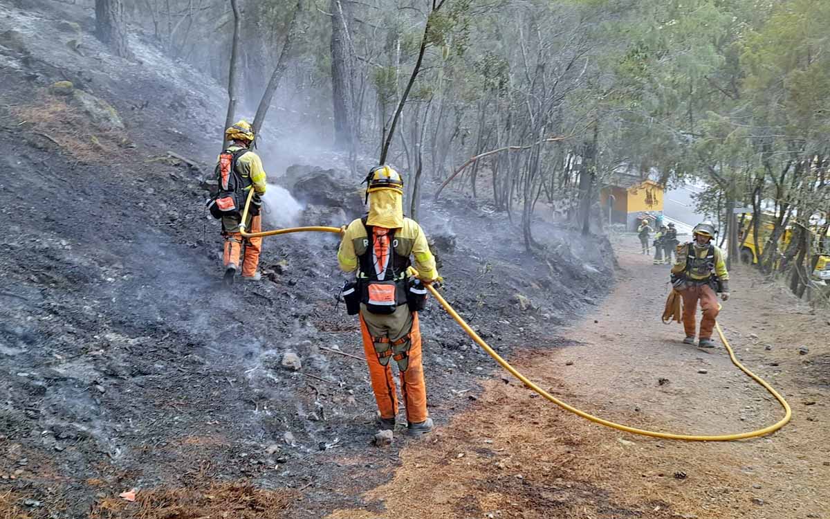 #IFArafoCandelaria | Se intensifica la vigilancia en los montes afectados por el incendio