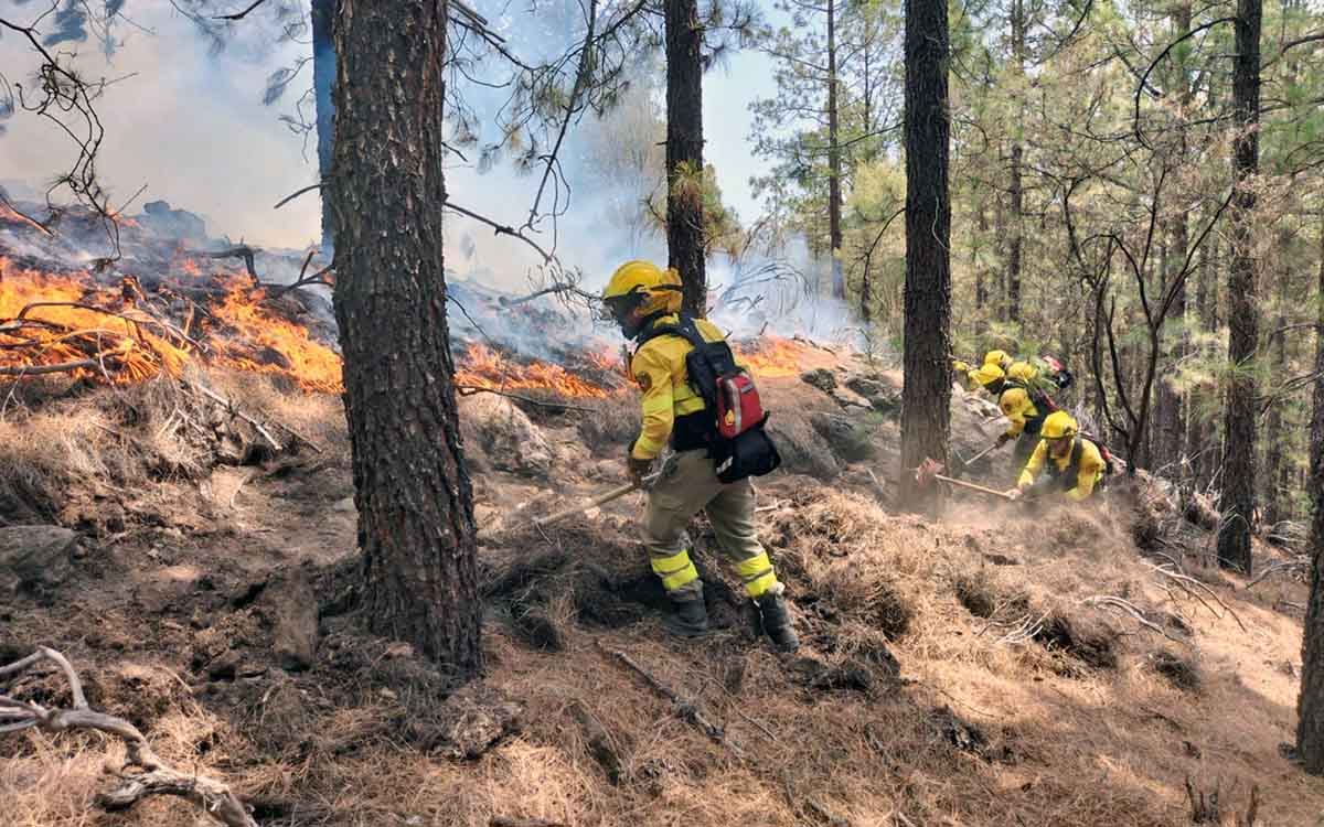 Tenerife | Más de un centenar de personas se mantienen en las labores de extinción del incendio