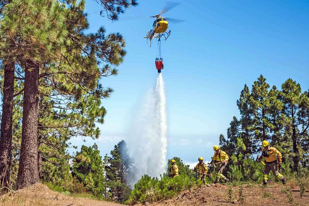 Tenerife | Se permiten ir al monte no afectado por el incendio y se pide precaución a la población