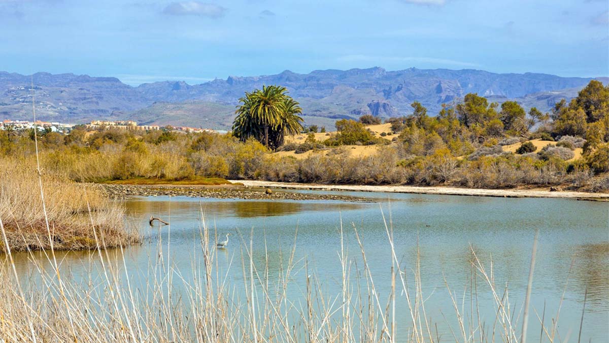 Gran Canaria | ‘Natalie’ permitirá controlar la contaminación de las aguas pluviales en Maspalomas