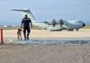 Un equipo USAR de la UME, compuesto por 56 militares y 4 perros, ha despegado hoy desde la Base Aérea de Zaragoza hacia Marrakech. | UME.