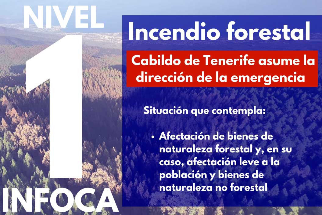 #IFArafoCandelaria baja a nivel 1 del INFOCA y el Cabildo de Tenerife asume la dirección
