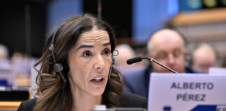 Celia Alberto, Directora General de Asuntos Europeos del Gobierno de Canarias.