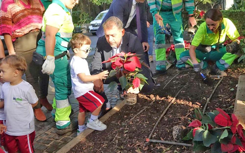 Santa Cruz | Comienza la plantación de más de 40.000 flores de pascua en la ciudad