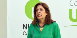 Carmen Hernández, portavoz parlamentaria de NC-BC en esta materia.