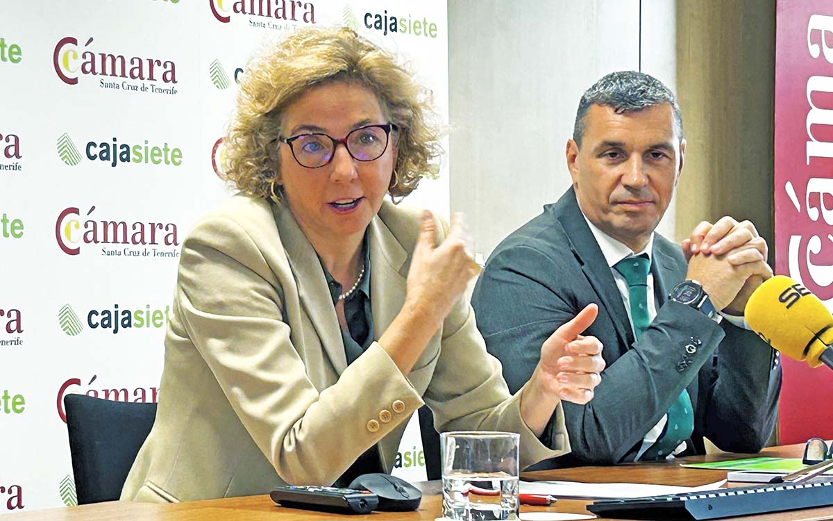 Canarias cierra 2023 con un incremento de las ventas minoristas del 7,3%