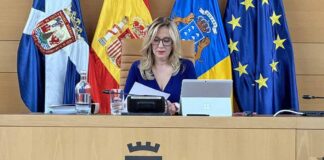 Rosa Dávila, presidenta nacionalista del Cabildo de Tenerife.