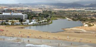 Charca de Maspalomas, Reserva Natural de las Dunas de Maspalomas.