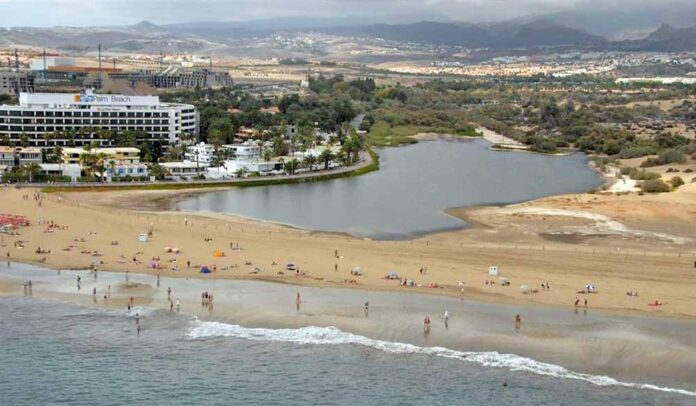 Charca de Maspalomas, Reserva Natural de las Dunas de Maspalomas.