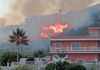 Conato de incendio cerca de la zona forestal de La Corona, Los Realejos, Tenerife.