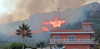 Conato de incendio cerca de la zona forestal de La Corona, Los Realejos, Tenerife.