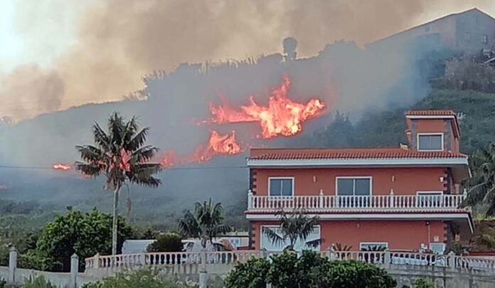 Conato de incendio cerca de la zona forestal de La Corona, Los Realejos, Tenerife.