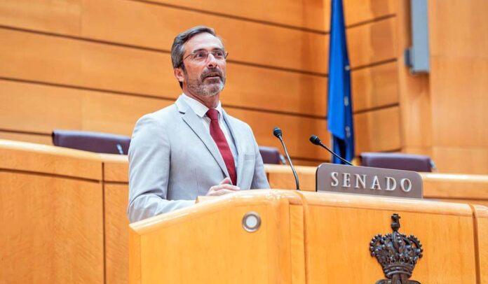 Pedro San Ginés, senador de Coalición Canaria.