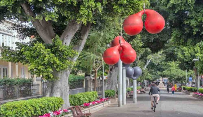 Rambla de Santa Cruz de Tenerife.