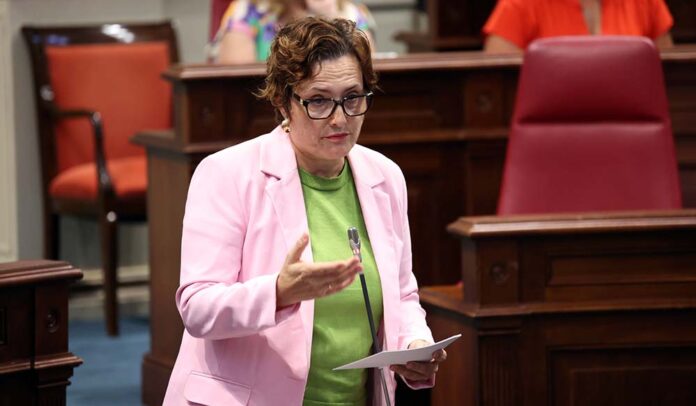 Candelaria Delgado, consejera de Bienestar Social, Igualdad, Infancia y Familias.