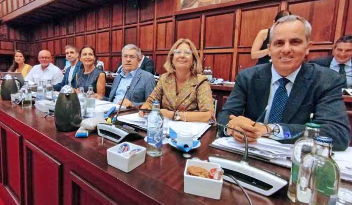 Integrantes del Grupo Popular en el Cabildo de Gran Canaria.