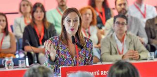 Nira Fierro, secretaria de Organización del PSOE Canarias.