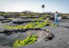 Foto: Turismo de Lanzarote.