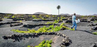 Foto: Turismo de Lanzarote.