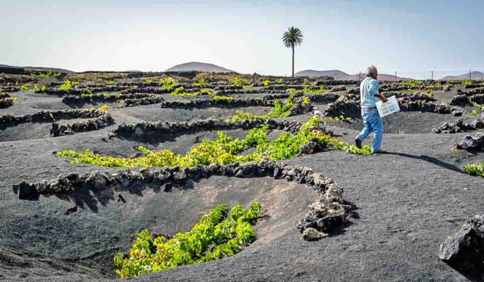 Foto: Turismo de Lanzarote.