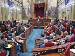 Debate Nacionalidad Canaria, sesión del día 11 de marzo de 2025.