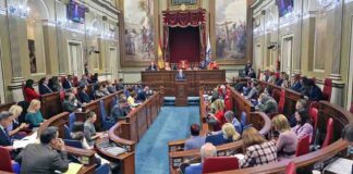 Debate Nacionalidad Canaria, sesión del día 11 de marzo de 2025.
