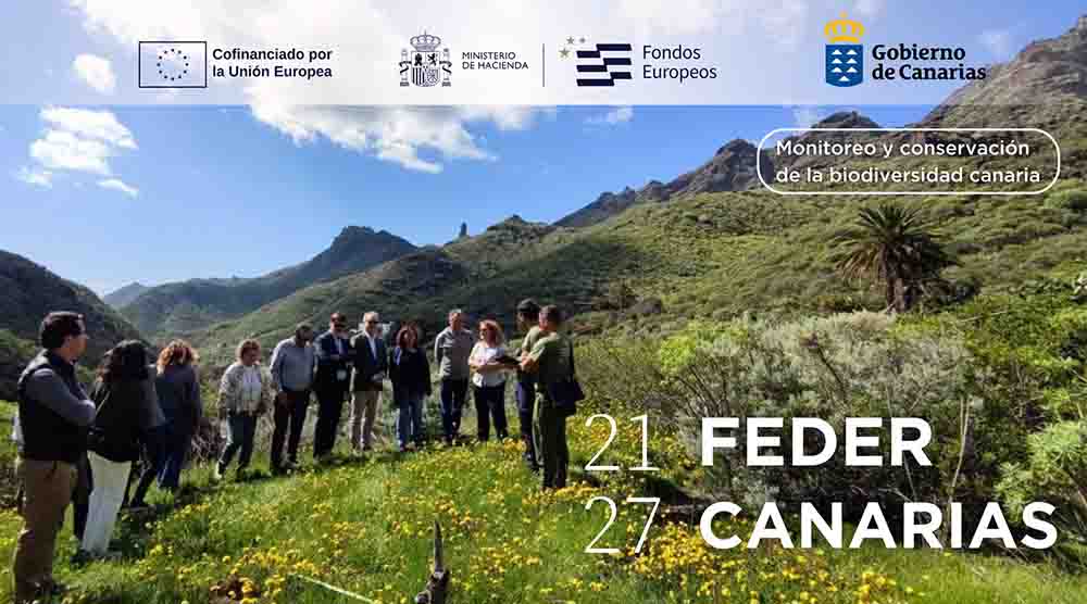 El comité de seguimiento del programa FEDER en Canarias revisa sus prioridades en Tenerife