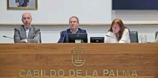 Sergio Rodríguez durante el pleno ordinario celebrado hoy jueves 10 de abril.